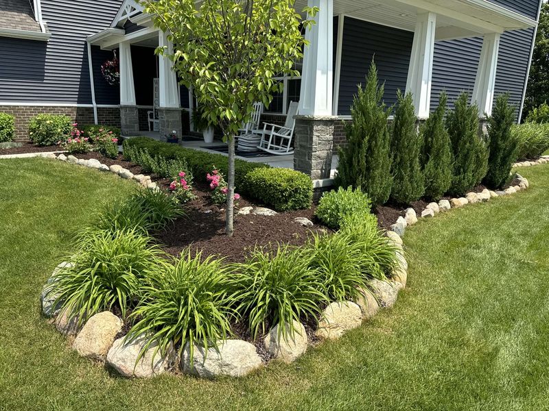 A porch entry bed with junipers, boxwood and daylilies