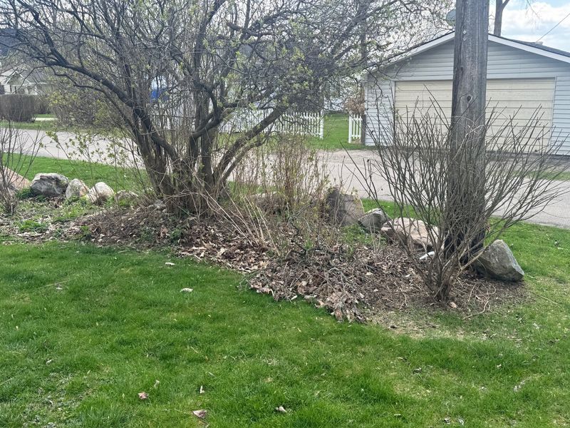 Before: Boulder-edged foundation bed
